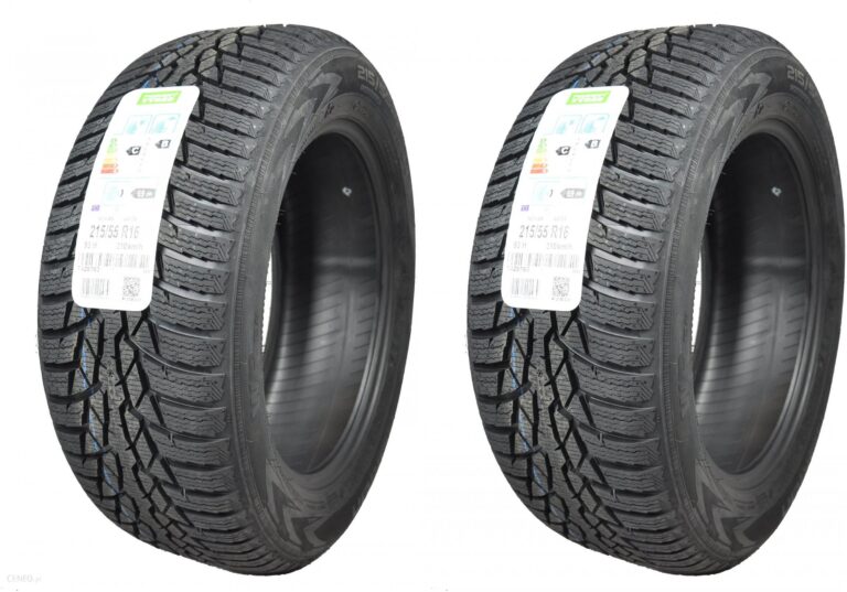 Nokian Tyres Wr D4 215/55R16 93H