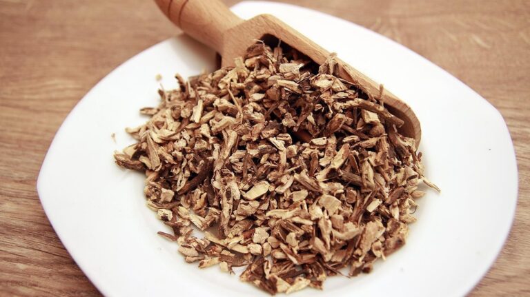 Rafex Korzeń wilżyny 500g