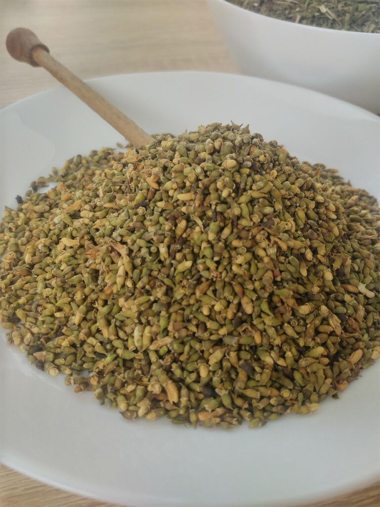 Rafex Perełkowiec japoński tinctura sophorae japonicae 50g